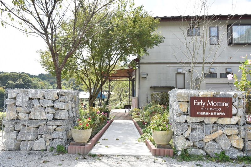 ?file_id=1799&width=800&height=800