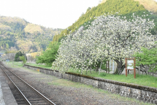 仏岩山駅